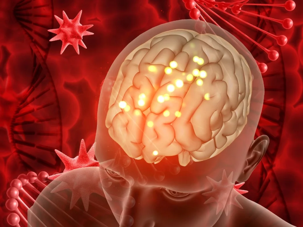 human Nervous System