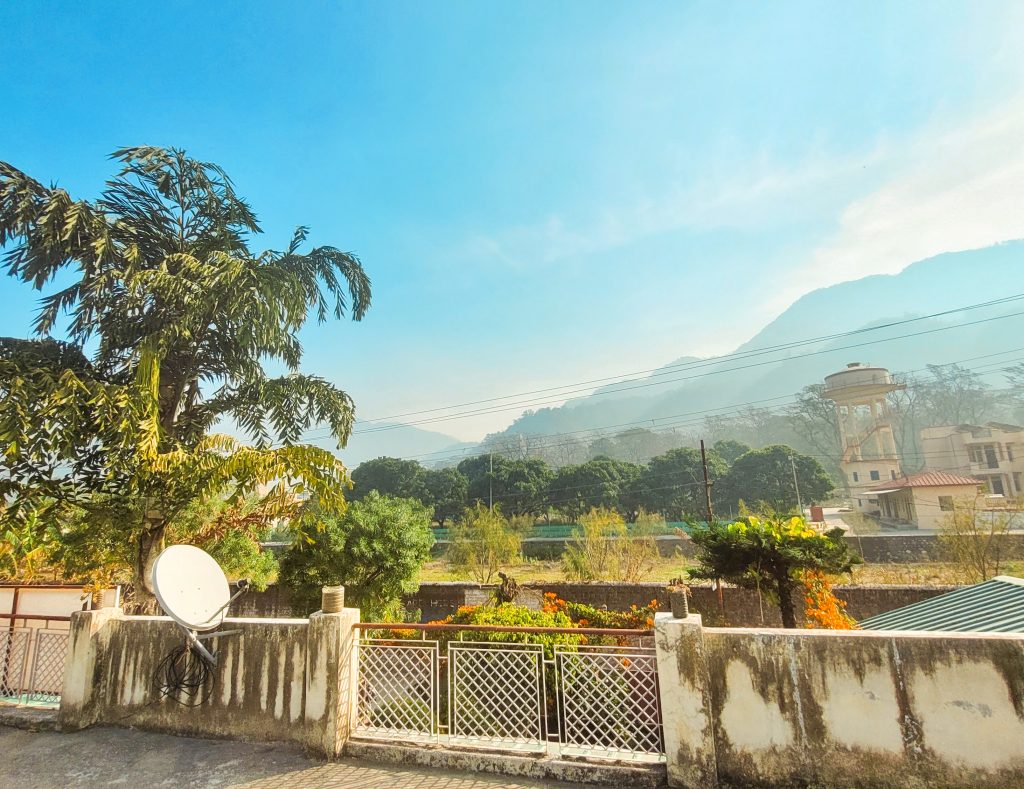 Scenic panorama from the terrace of Sage House Yoga's retreat center: A picturesque vista reveals lush greenery, with a magnificent pine tree as the centerpiece, offering a tranquil and idyllic setting for guests to immerse themselves in the beauty of nature.
