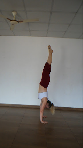 Photo from customer review